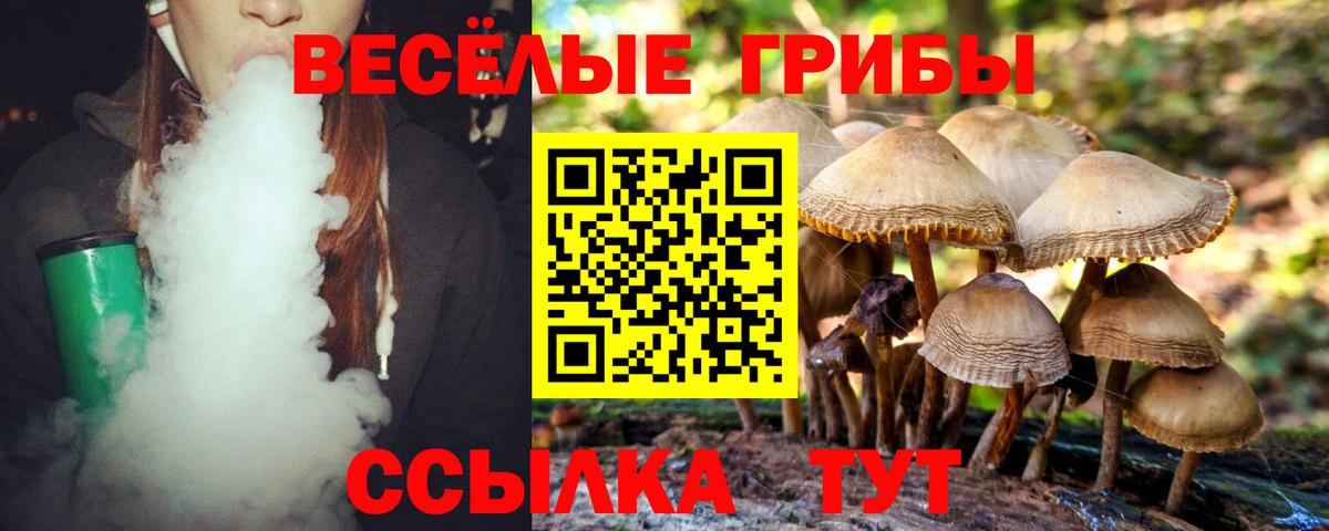 Галлюциногенные грибы GOLDEN TEACHER Мыски